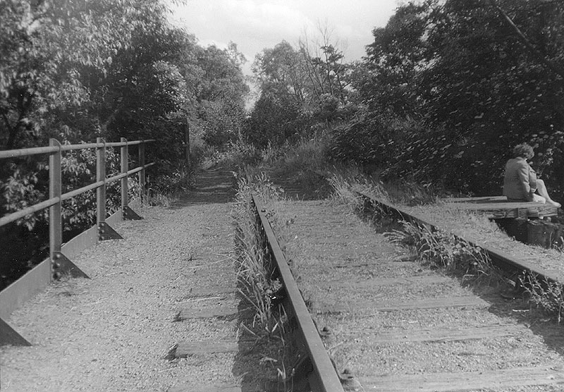 Bridge No 6 - one of the river bridges built with timber - looking towards Coleshill with Hampton beyond on 8th July 1951