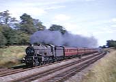 GWR 2-8-0 30xx Class No 3001 steams past Bentley Heath with a southbound freight train in the late afternoon sunshine during 1933