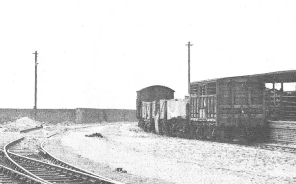 Close up of Bordesley station's cattle dock with two cattle vans and three open seven-plank wagons in evidence