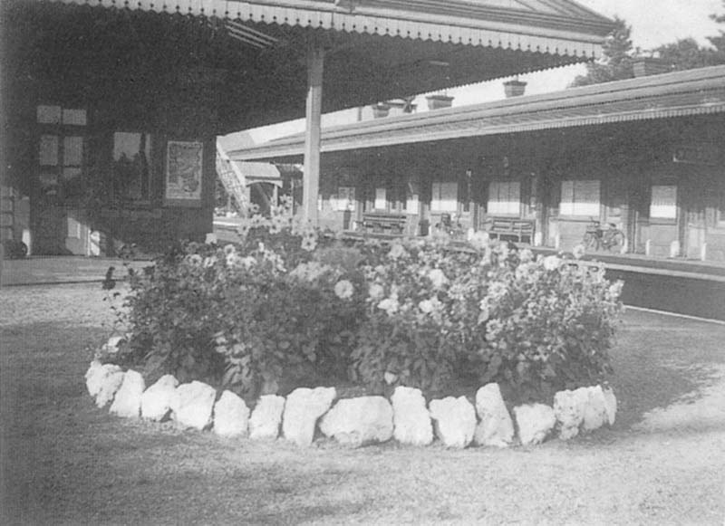 View of another of the flower beds that on a number of occasions, won an annual certificate and later secured the coveted shield