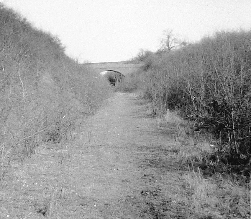 View of the abandoned track in the cutting at Lowsonford with Potato Lane bridge in distance on 3rd March 1961