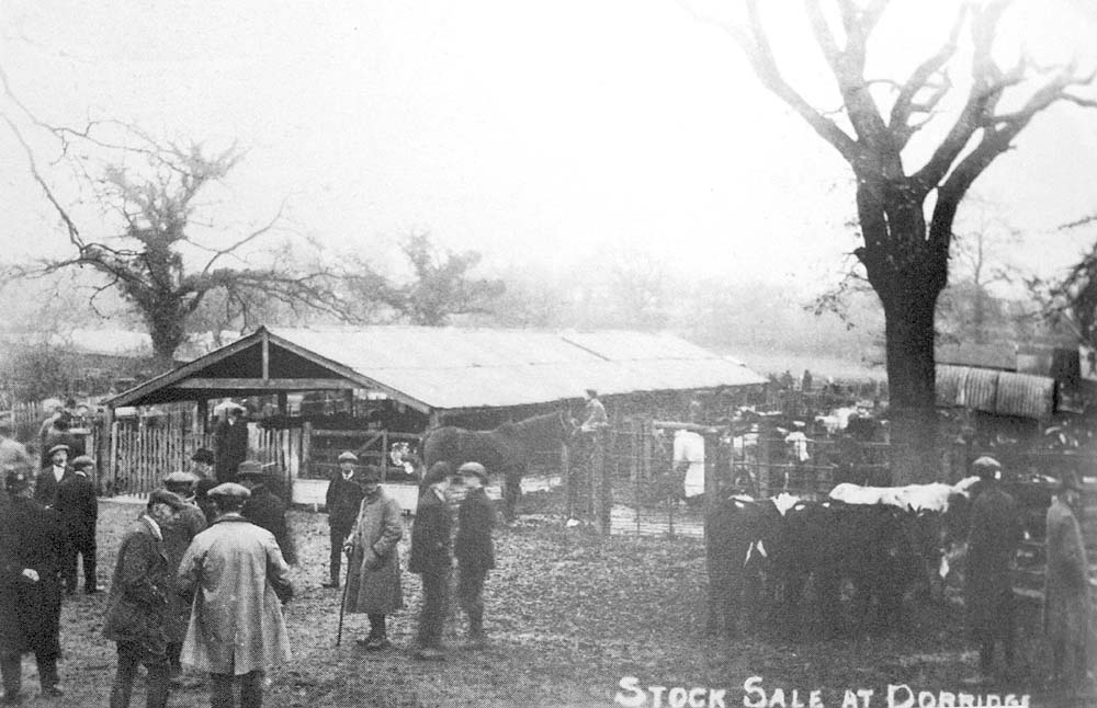 Postcard of one of the regular livestock sales being held in Station Road, Dorridge in 1927