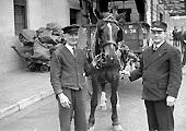 Another view of the last horse drawn cart working at Leamington station seen on 25th August 1949