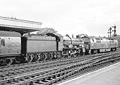 Western D1007 'Western Talisman' double heads ex-GWR 4-6-0 Hall class No 5904 'Ketley Hall' on an up express train