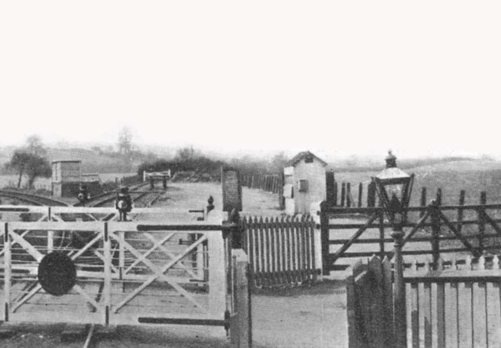 Close up of showing the horse landing dock with solid partioning instead of the normal three or five bar fencing