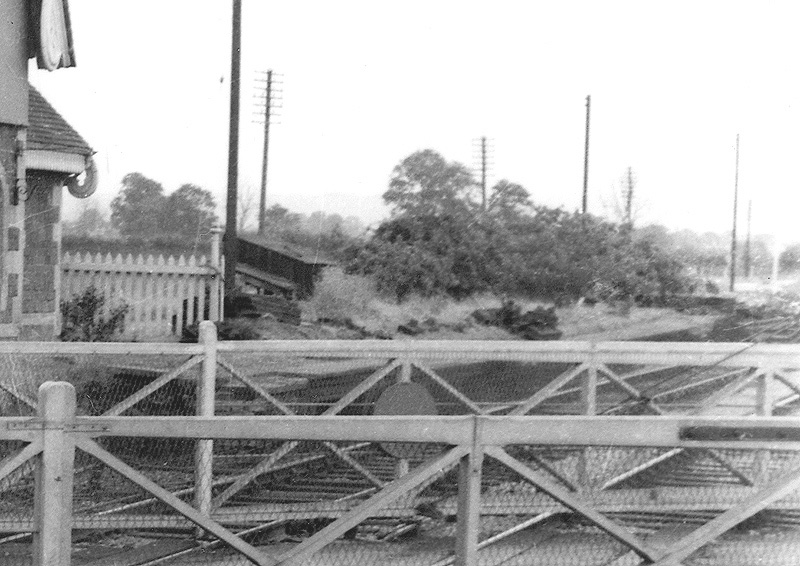 Close up showing the remnants of the abandoned 1859 single platform and the goods yard now lifted following closure