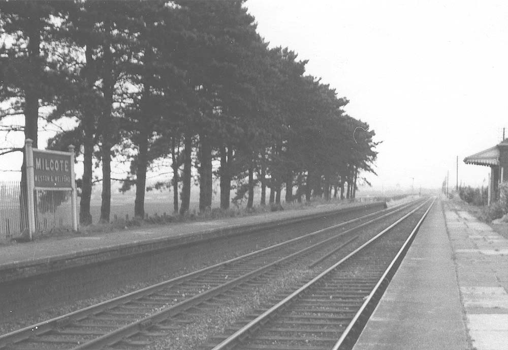 Looking north towards Stratford on Avon along Milcote station's down platform with the fir tree lined up platform on the left