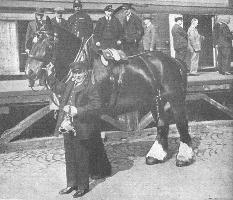 Carman H Farley from Birmingham Moor Street Goods Depot after wining the �Floyd Cup� at the annual Great Western Railway Horse parade in Birmingham on 3rd May 1937