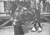 Carman H Farley from Moor Street after wining the �Floyd Cup� at the annual GWR Horse parade in Birmingham