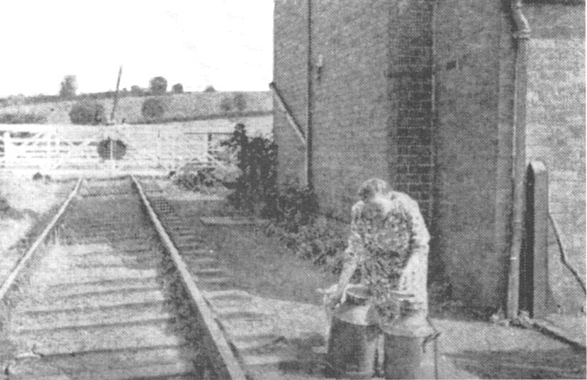 View of a Mrs White as she puts out churns for water at Todenham Lane Crossing in September 1952