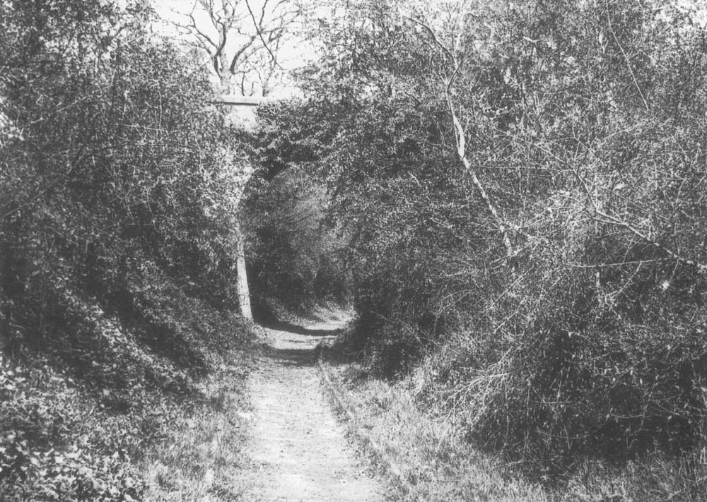 This 1902 view shows the red brick arched bridge carrying Springfield House's driveway over the tramway to join the Shipston Road