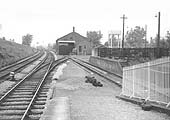 Looking north with the goods shed in the middle distance and on the right a landing dock and pens for live stock