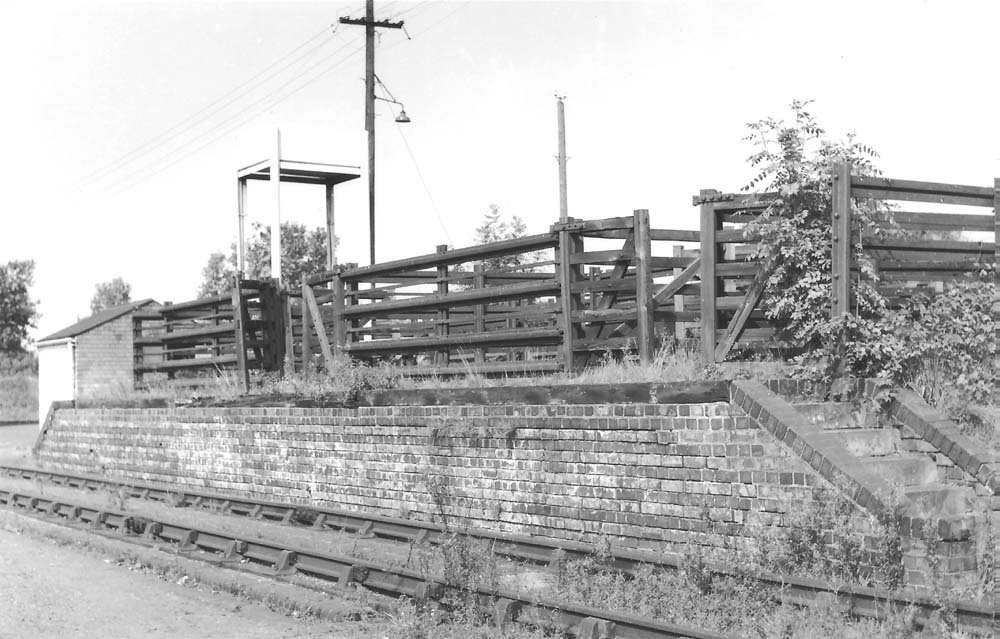 Cattle pens at Shirley with water tank behind circa 1960
