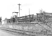 Another view of the now disused cattle pens at Shirley Station with water tank behind circa 1960