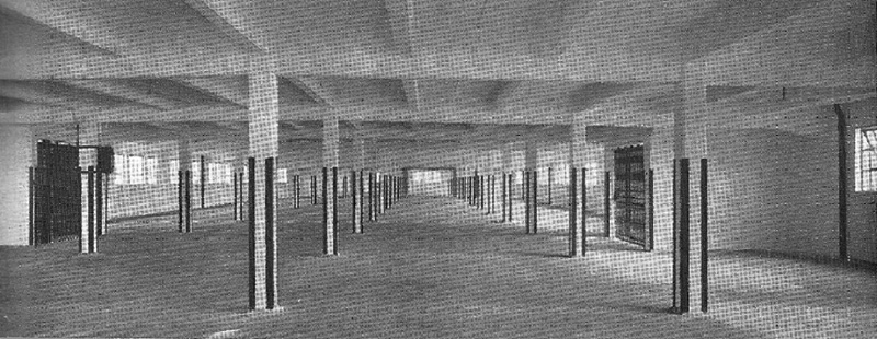 Official Photograph of Soho & Winson Green's shed erected using money from the Government�s Development Fund