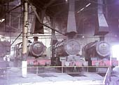 Line up of four Swindon built Locomotives in Tyseley Roundhouse on 22nd November 1964