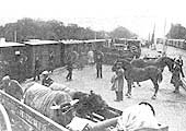 A busy scene in early July 1931, showing the new wide platform and sidings at Capes Yard, just north of Warwick