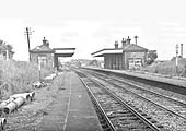 An overgrown and abandoned Bedworth station is seen on 13th June 1966 some eighteen months after closure
