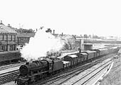 Ex-LMS 8F 2-8-0 No 48612 is seen heading towards Nuneaton on a mixed goods train running past the nearly complete platform three