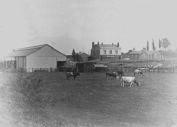 View of the original joint LNWR and MR Goods shed prior to the construction of the offices and other LNWR goods buildings
