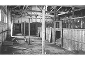 Third interior view of the top floor of the infirmary stable block at the back of Top Yard 30 yrs after the last horse left
