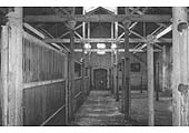 First interior view of the top floor of the infirmary stable block at the back of Top Yard 30 yrs after the last horse left