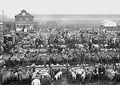 View of the cattle market which was extremely large and which required many to be transported to Rugby by rail