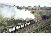 Ex-LMS 8F 2-8-0 No 48111 hauls an empty coal train up the 1 in 125 gradient to Arley Tunnel on 20th March 1966