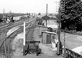 Close up showing the cattle dock and small timber goods shed on the down side goods yard