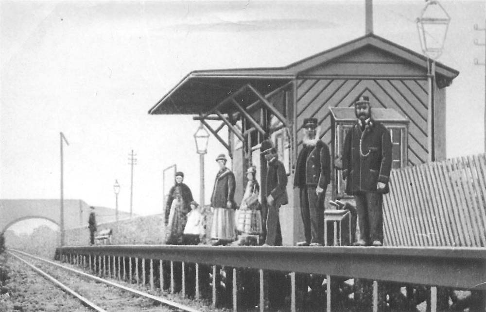 The only known photo of the Birmingham West Suburban Railway's Stirchley Street station, taken in 1879