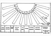 A partial schematic drawing showing the different stores and offices located on one wall inside of Bournville shed