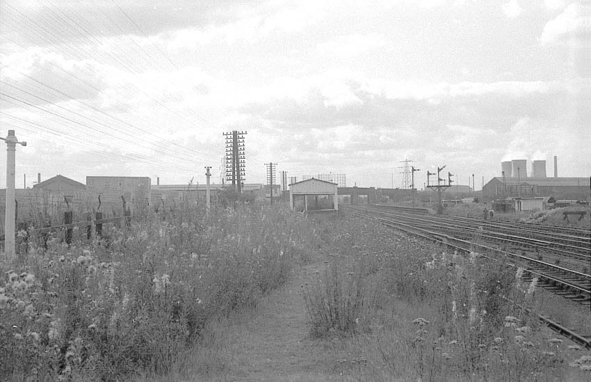 View along the overgrown horse dock platform looking towards Bromford Bridge Racecourse station