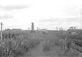 View along the overgrown horse dock platform looking towards Bromford Bridge Racecourse station