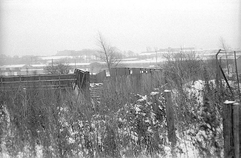 The remains of the private bridge over the River Rea leading from the Horse Dock directly to the racetrack circa 1962