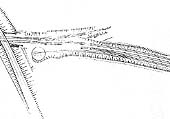 Part of an undated LMS 40ft to 1inch plan showing the junction layout prior to the 1934 re-signalling