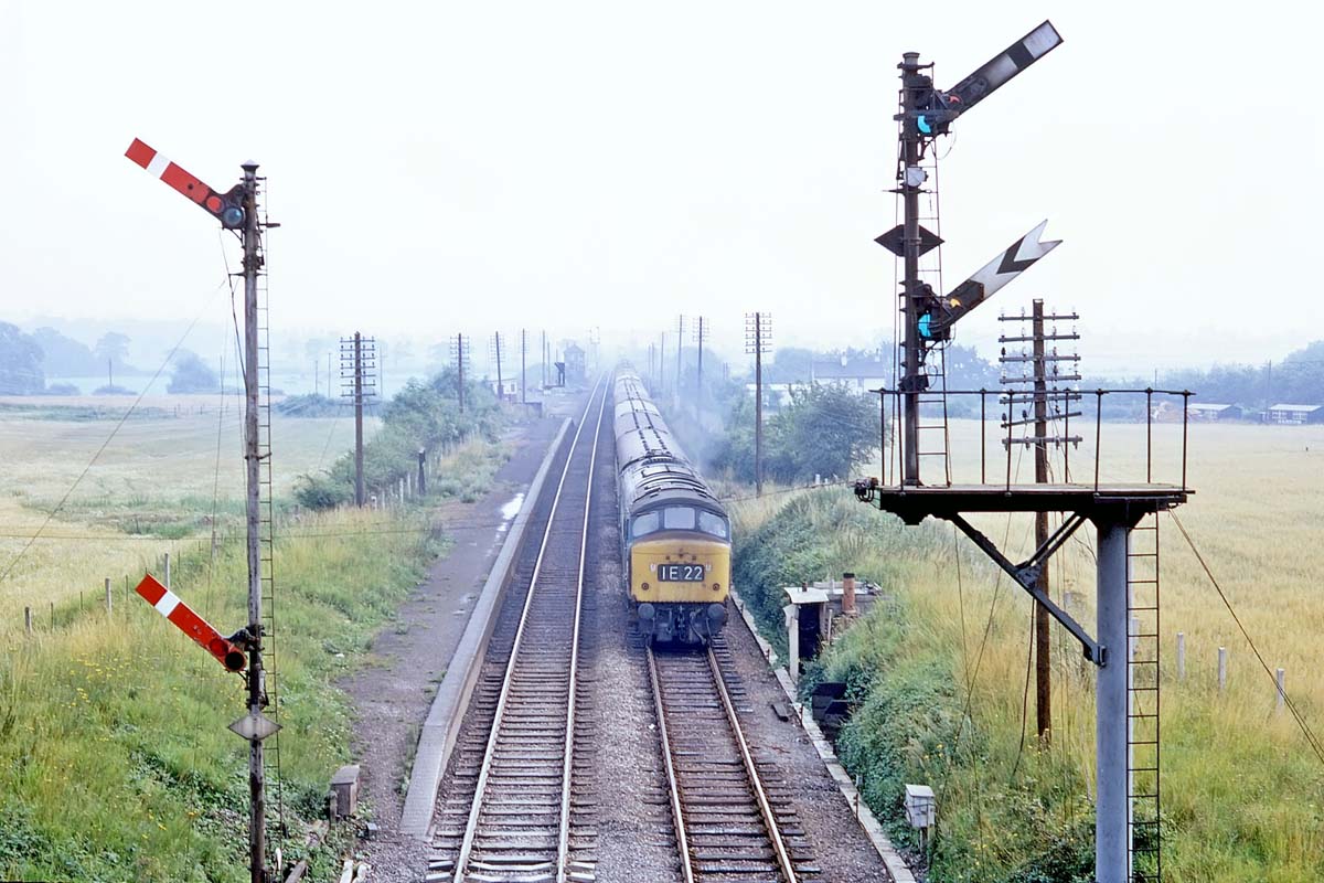 British Railways Brush Type 4 1Co-Co1 D142 passes through the remains of Kingsbury station on 9th August 1969