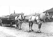 View of a Midland Railway's horse drawn heavy goods delivery vehicle at Lawley Street Goods Depot on 30 June 1909