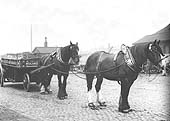Another view of one of the Midland Railways' many heavy cart horses used to deliver goods from Lawley Street Goods depot to businesses