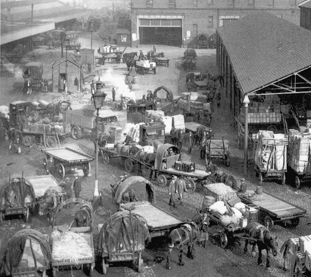 Close up showing the yard adjacent to the 'Empties' shed with a horse drawn dray standing on a weighbridge