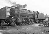 Ex-LMS 8F 2-8-0 No 48336 stands in line ready to depart Saltley shed's yard for its next turn of work
