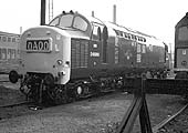 English Electric Type 3 D6888 stands fresh from the works outside Saltley shed's No 3 roundhouse