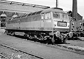 British Railways Type 4 D1584 is seen standing in front of Saltley shed's No 3 roundhouse