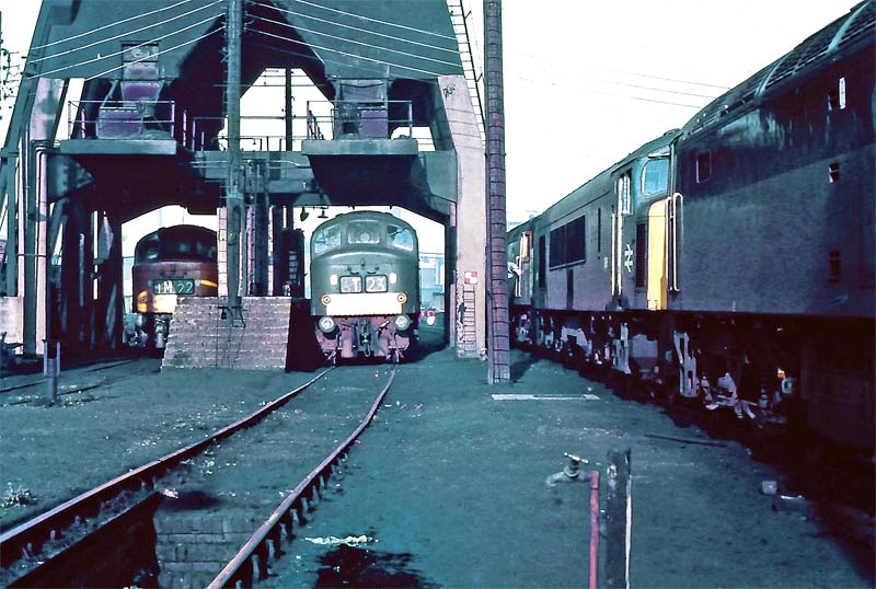 British Railways Sulzer Type 4 diesel locomotive D66 stands beneath Saltley shed's coaling plant