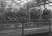 An internal view of one of Saltley's sheds with an array of ex-LMS locomotives in company with an ex-MR locomotive standing on the roads around the turntable