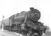 LMS 8F 2-8-0 No 8647 sports a 17A Derby shed plate whilst standing in front of another classmate on one of Saltley's stabling roads