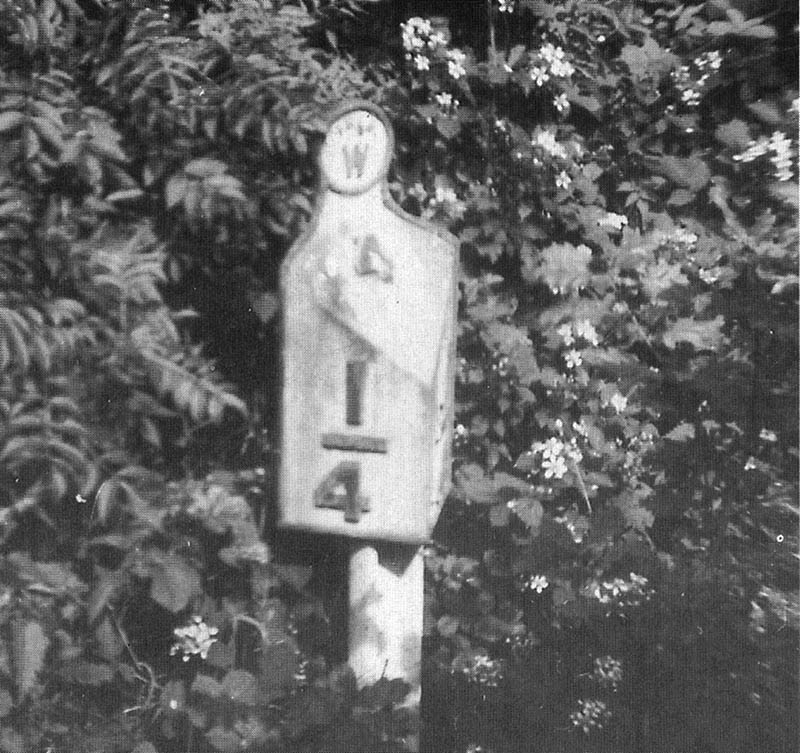 A 1951 view of the 4� Mile Post at a point later to be occupied by a gas processing plant