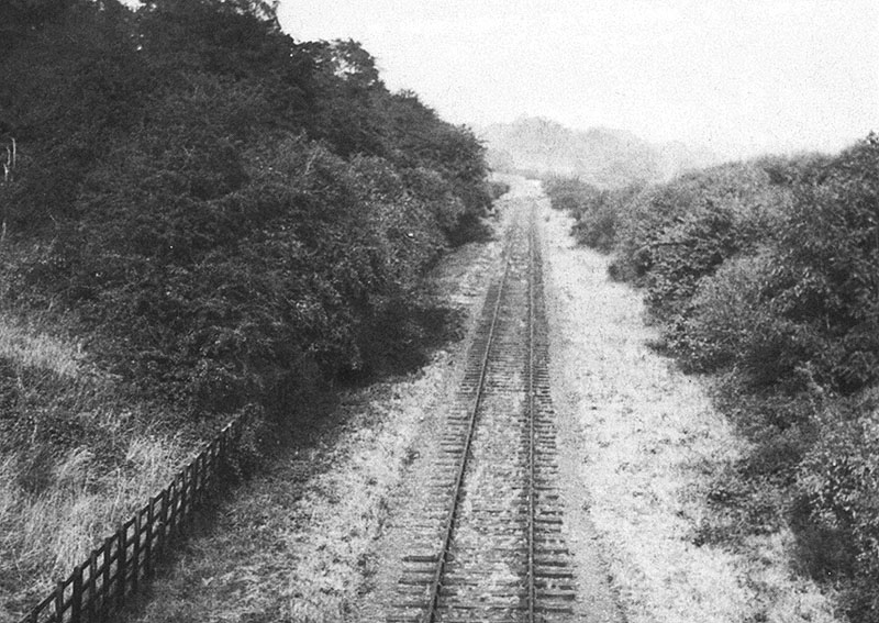 Bridge No 24 - Looking towards Hampton from Coventry Road bridge 