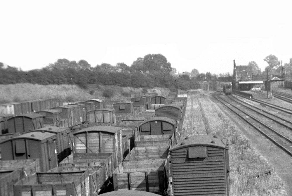 Close up showing a variety of timber mineral wagons and a mixture of types of vented vans