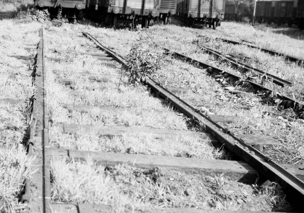 Water Orton Siding's track made up of rails laid on their sides and spiked direct to the sleepers without chairs