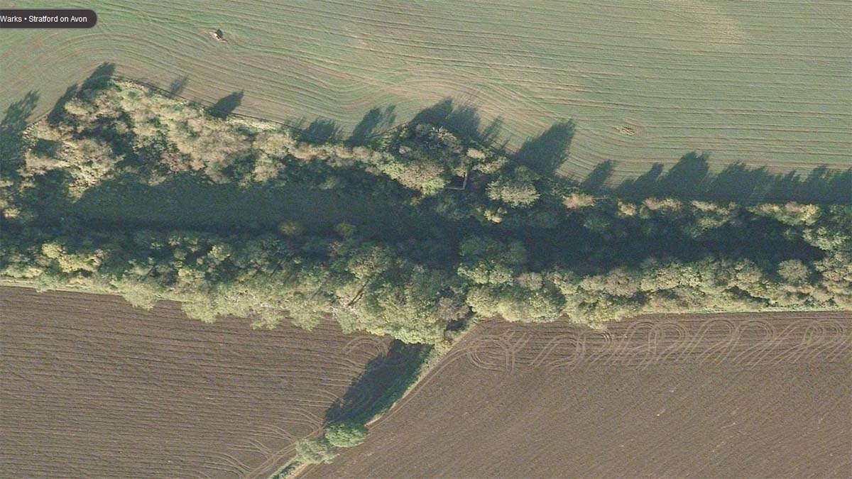 View of Goldicote cutting with the remains of the building housing the crushing plant just visible in the centre of the quarry